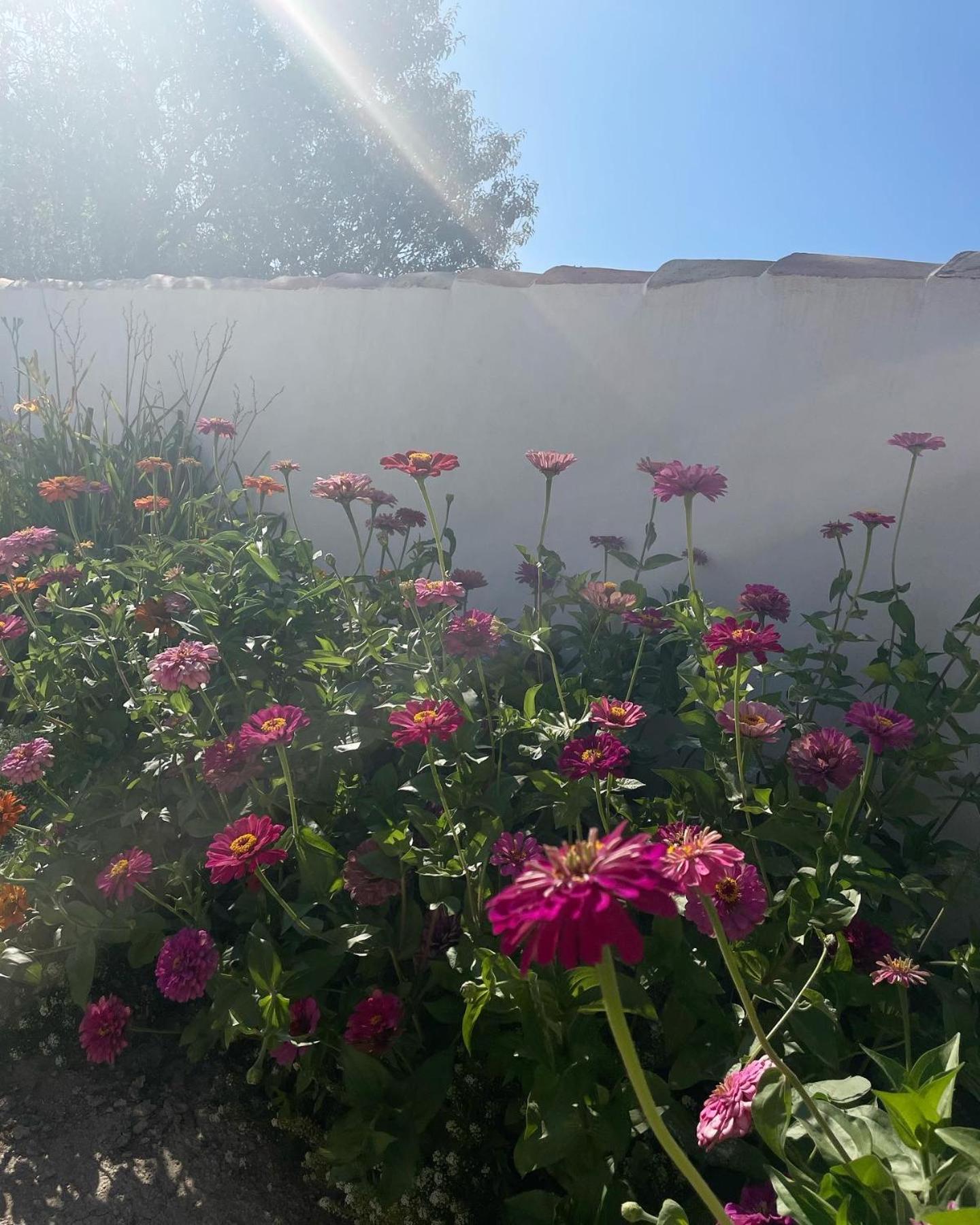 Cortijo El Prado L Βίλα Castril Εξωτερικό φωτογραφία